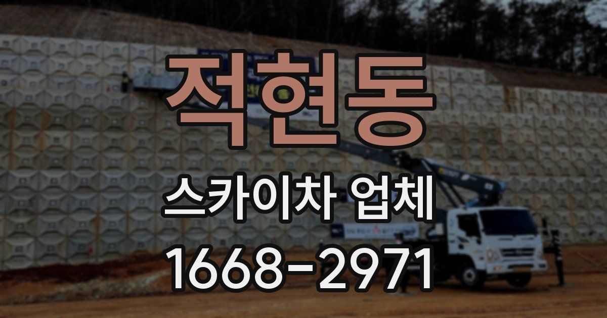 적현동 스카이차 업체