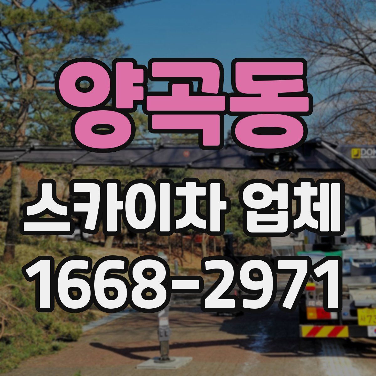 양곡동 스카이차 업체