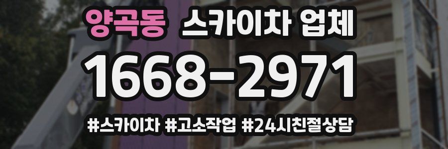 양곡동 스카이차 업체