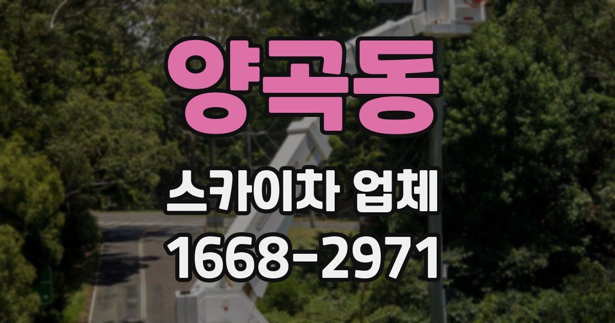 양곡동 스카이차 업체