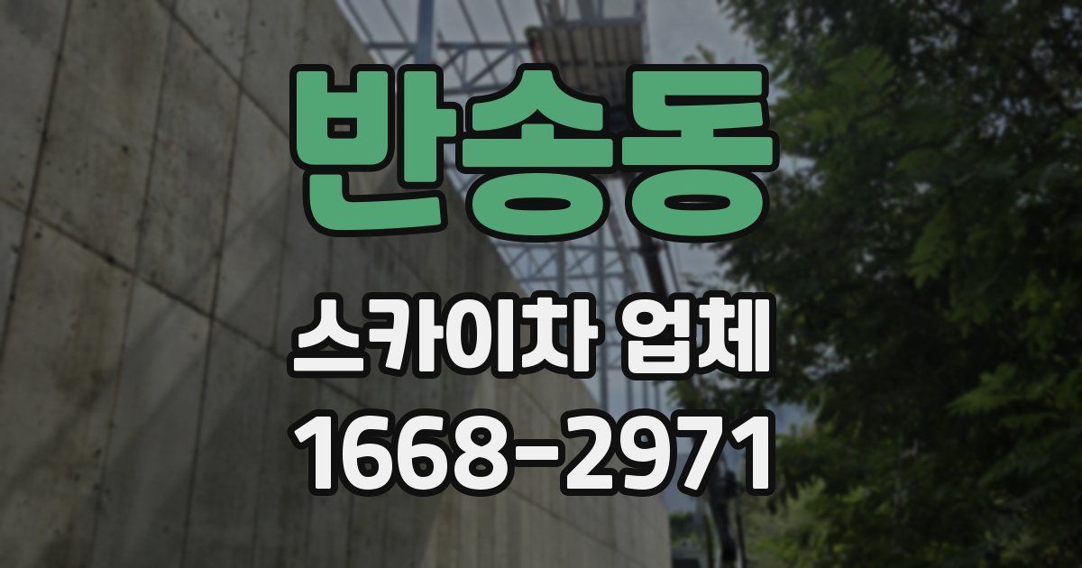 반송동 스카이차 업체