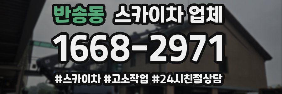 반송동 스카이차 업체