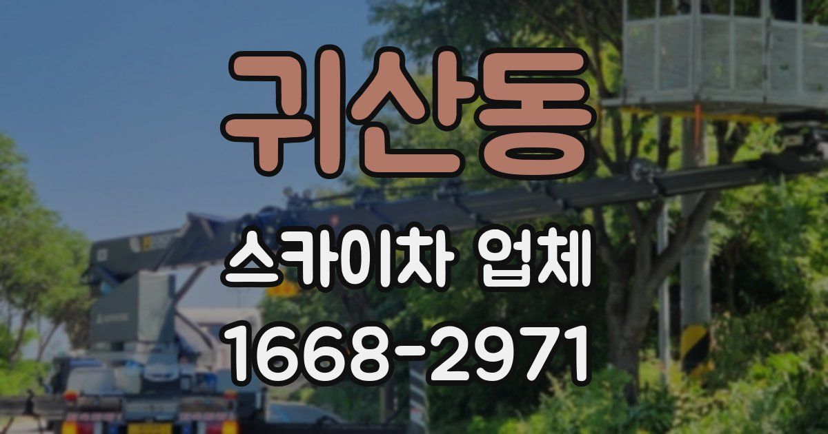 귀산동 스카이차 업체