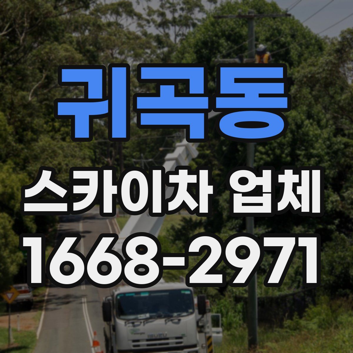 귀곡동 스카이차 업체