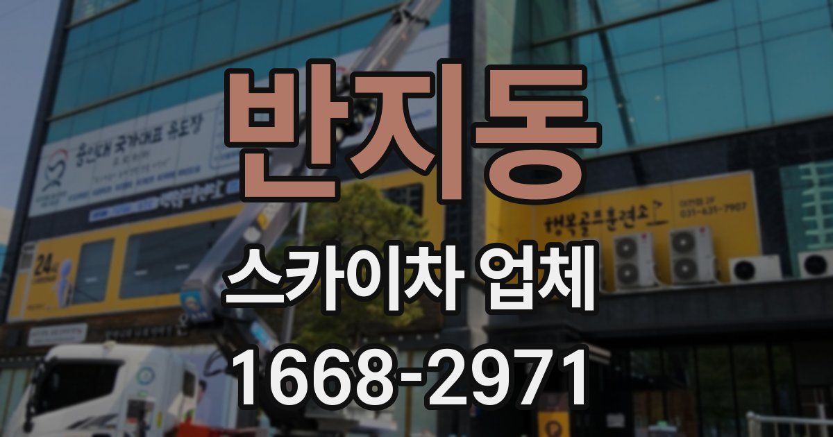 반지동 스카이차 업체