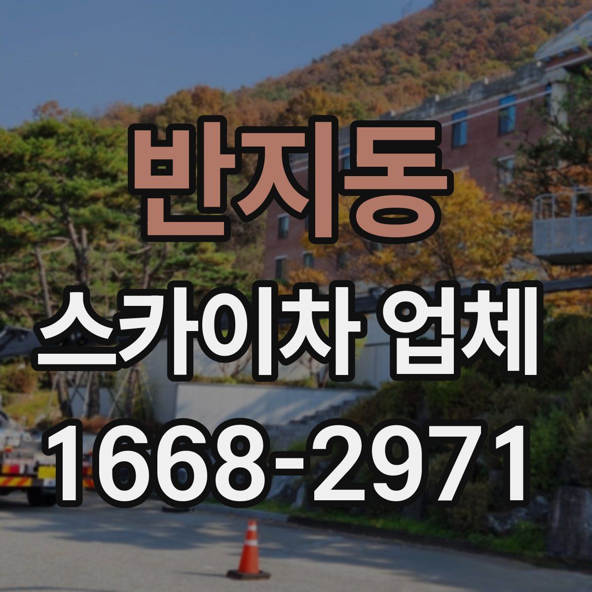 반지동 스카이차 업체