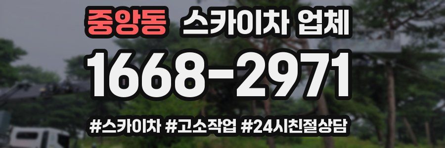 중앙동 스카이차 업체