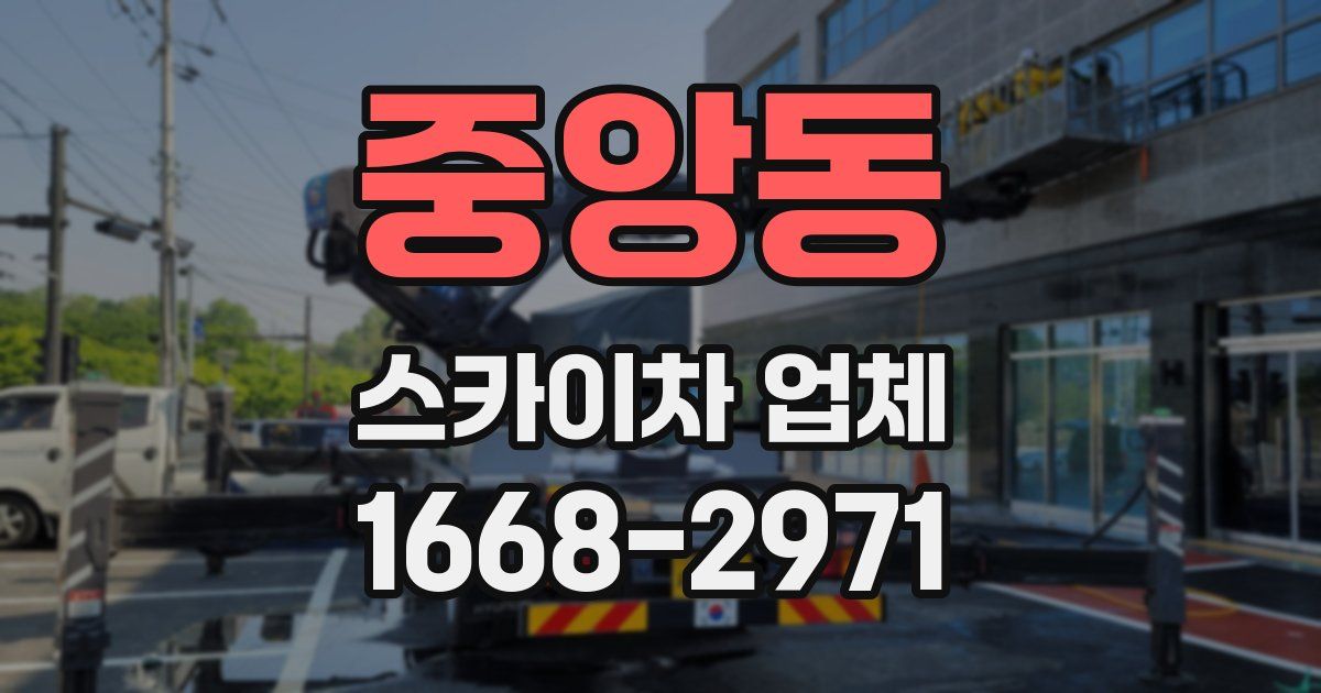 중앙동 스카이차 업체