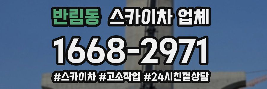 반림동 스카이차 업체