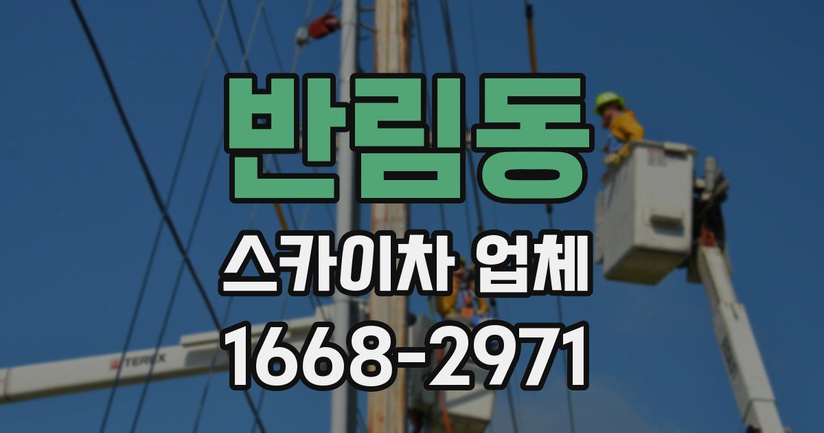 반림동 스카이차 업체