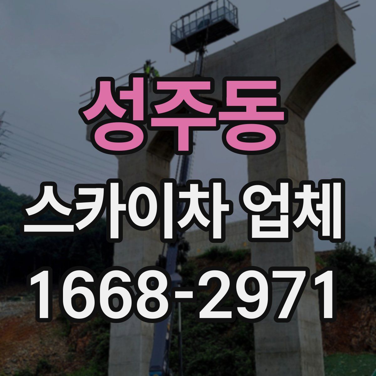 성주동 스카이차 업체