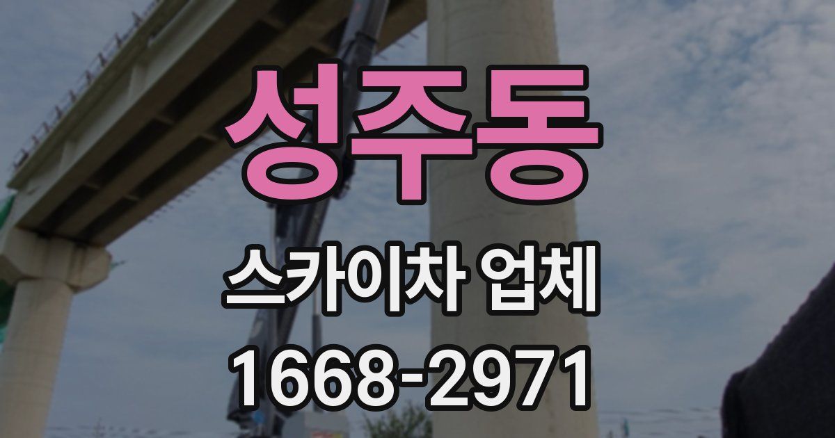 성주동 스카이차 업체