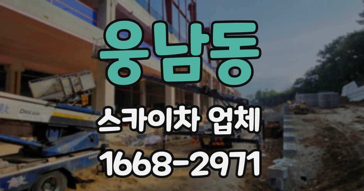 웅남동 스카이차 업체