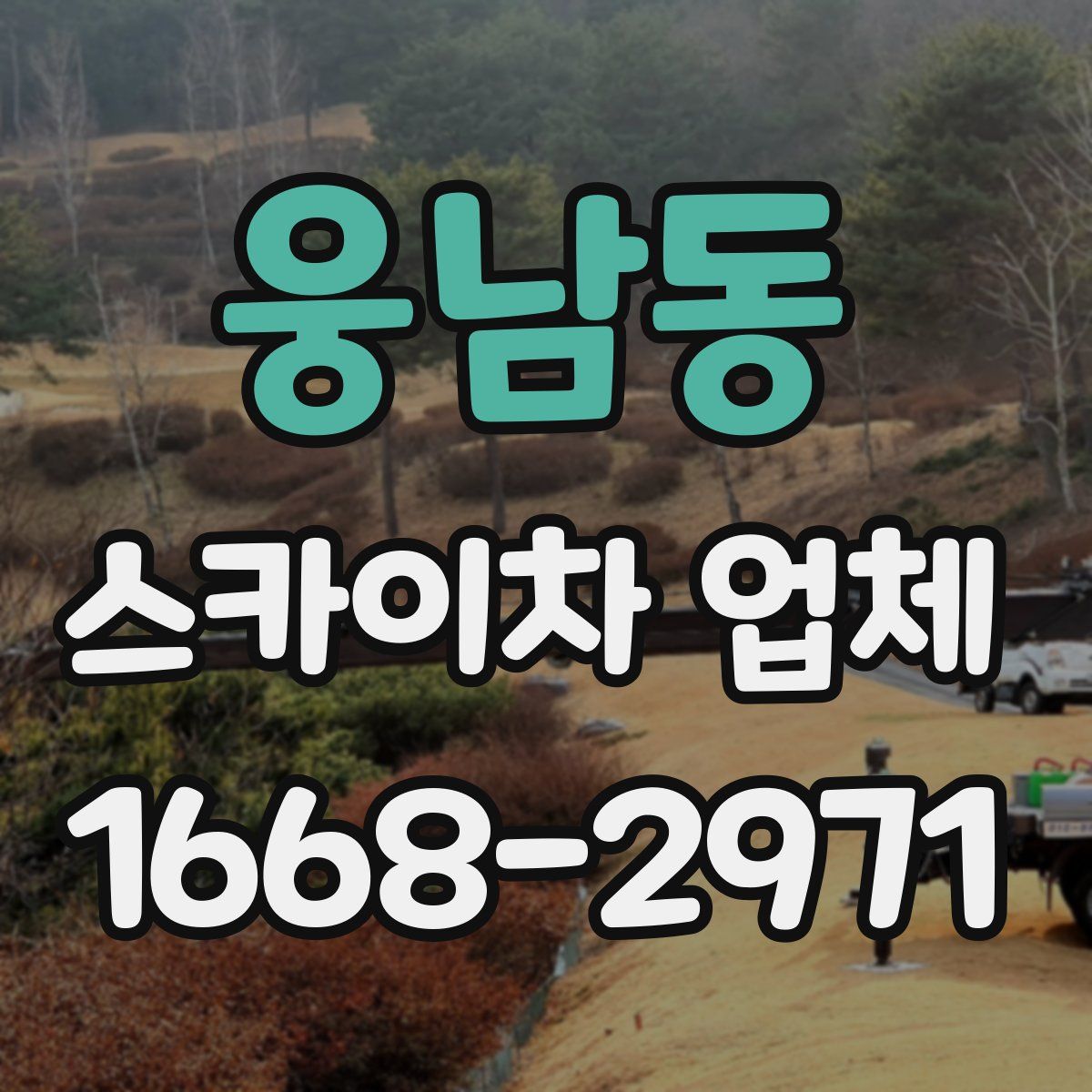 웅남동 스카이차 업체