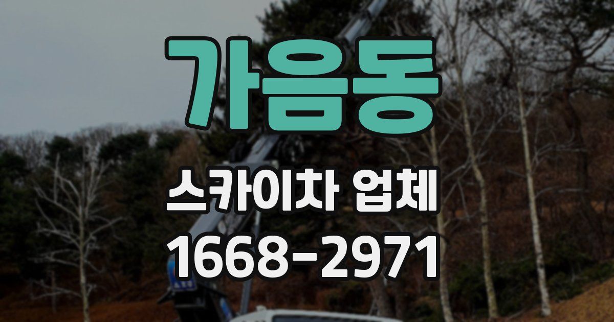 가음동 스카이차 업체