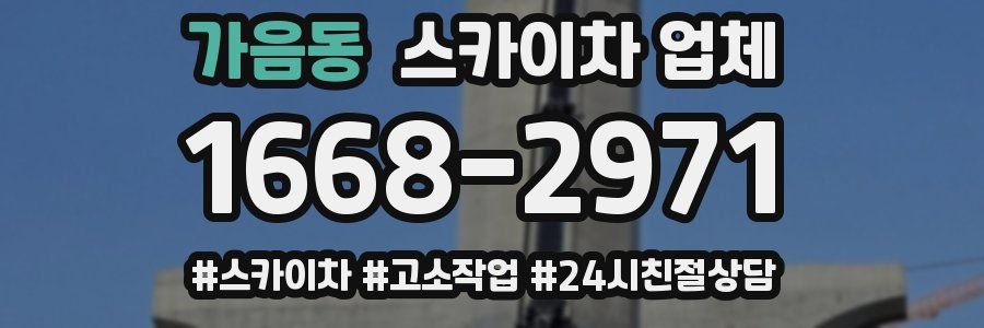 가음동 스카이차 업체
