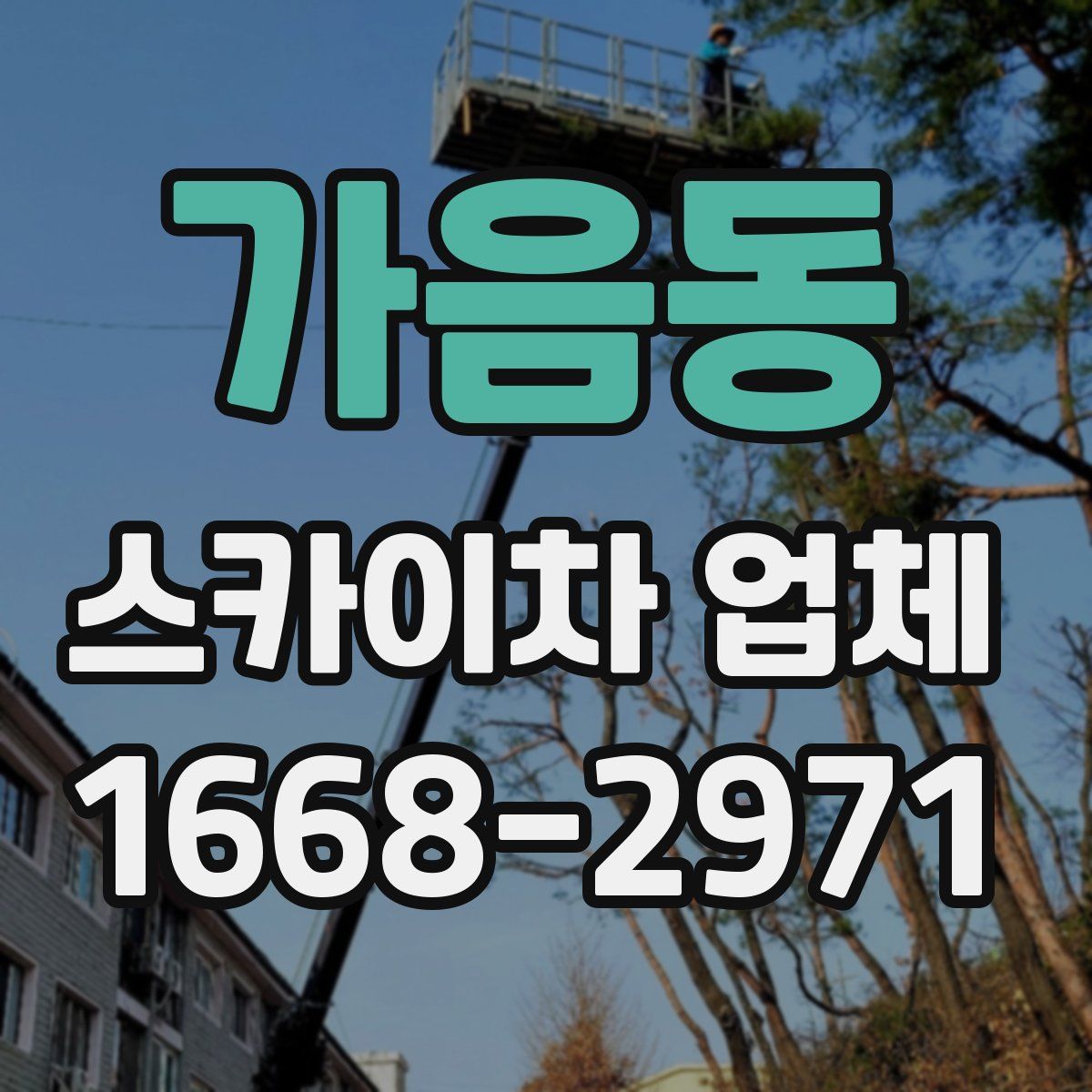 가음동 스카이차 업체