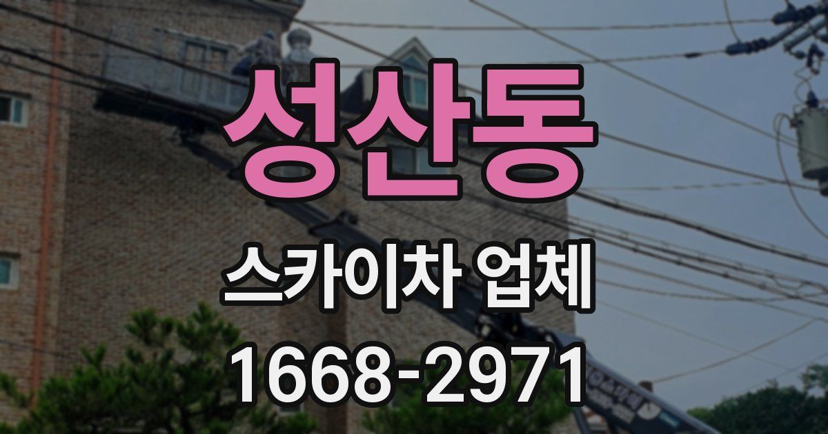 성산동 스카이차 업체