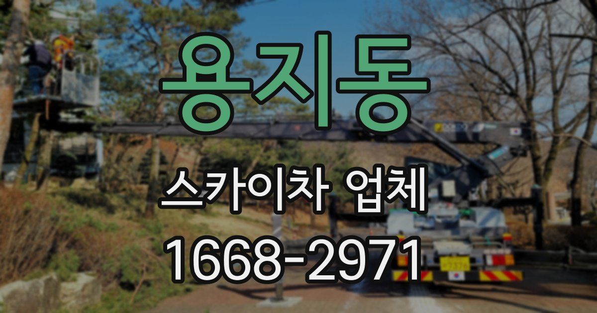 용지동 스카이차 업체