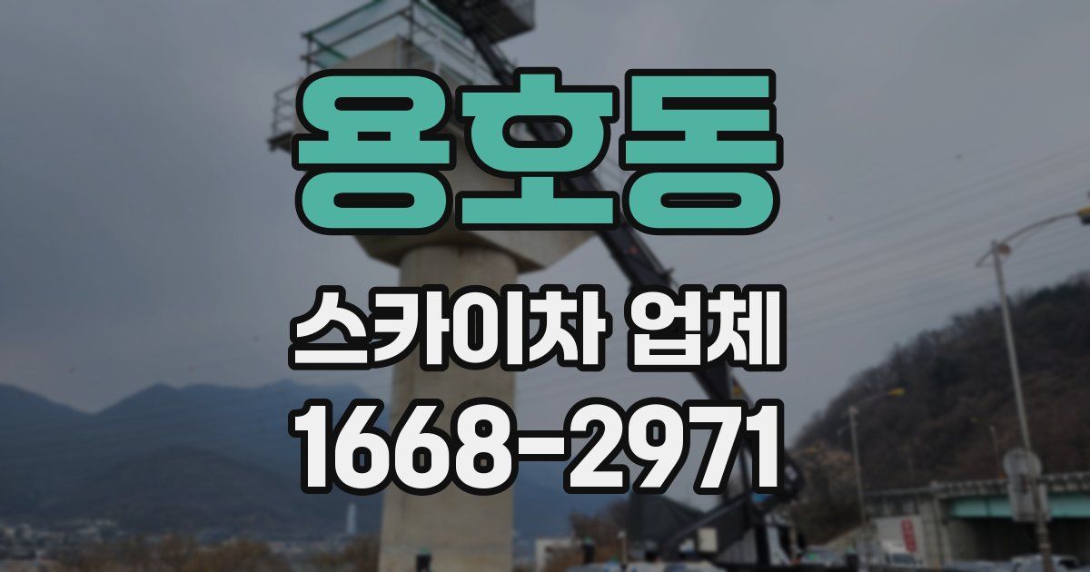 용호동 스카이차 업체