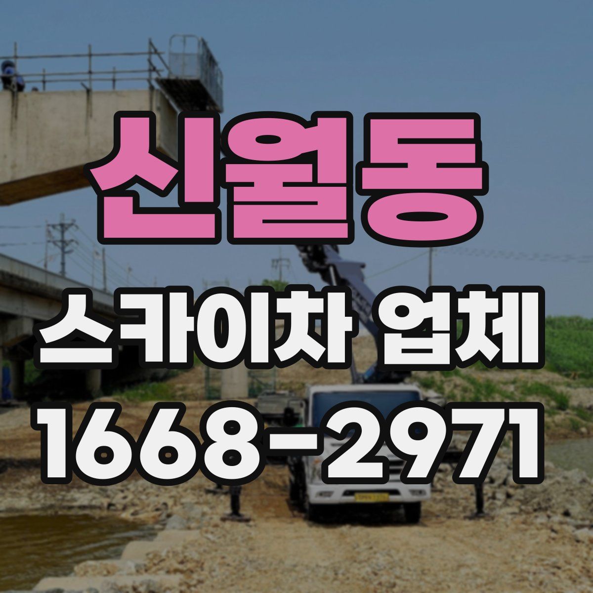 신월동 스카이차 업체