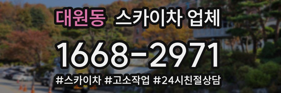 대원동 스카이차 업체
