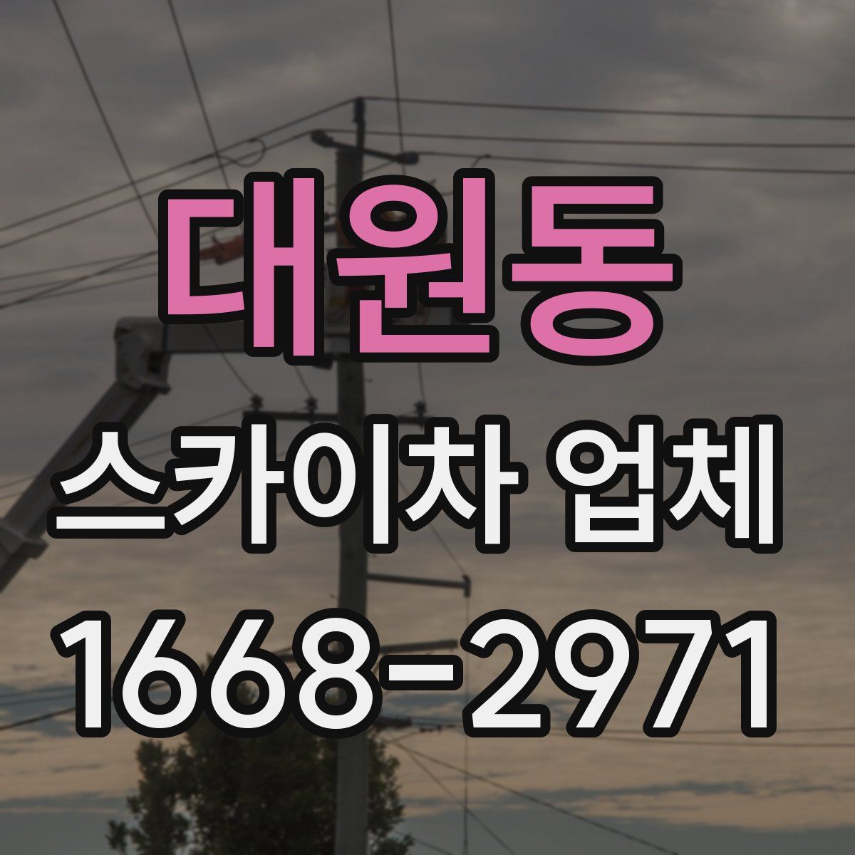대원동 스카이차 업체