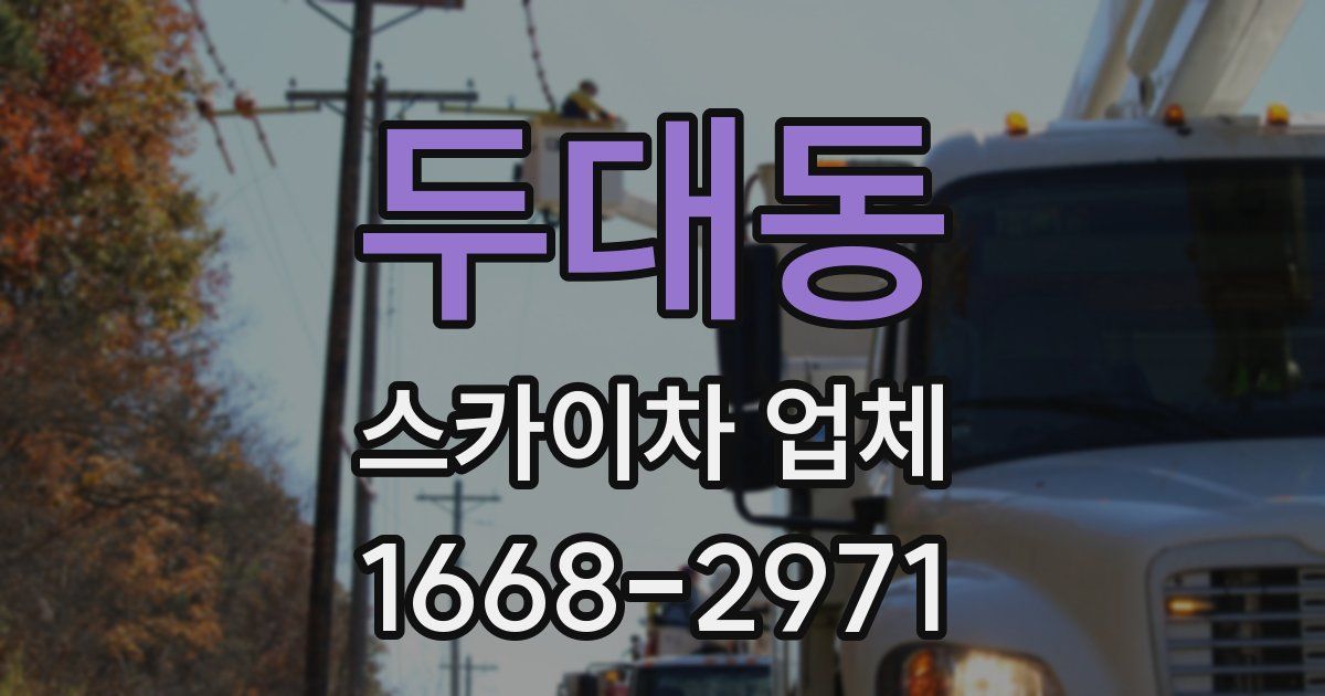 두대동 스카이차 업체