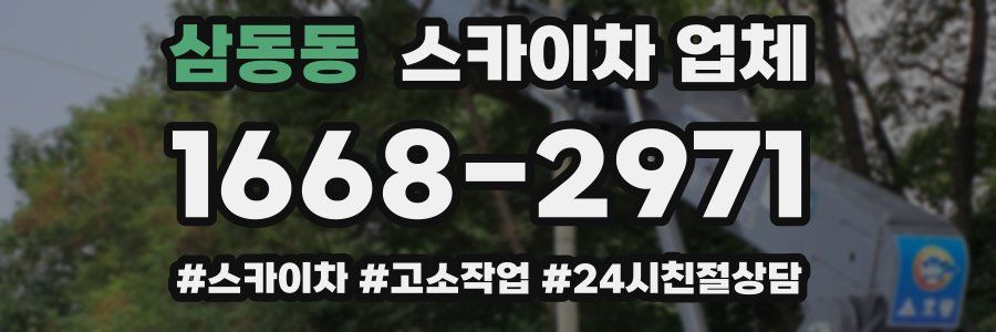 삼동동 스카이차 업체