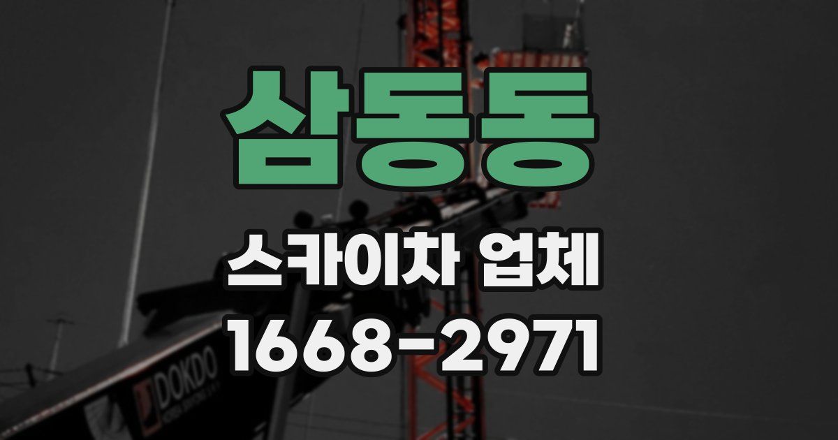 삼동동 스카이차 업체
