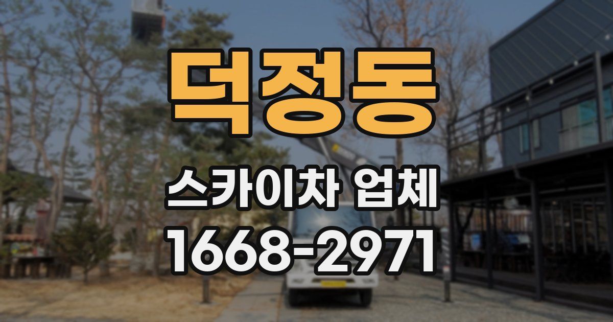 덕정동 스카이차 업체