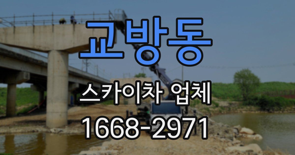 교방동 스카이차 업체