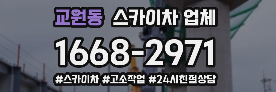 교원동 스카이차 업체