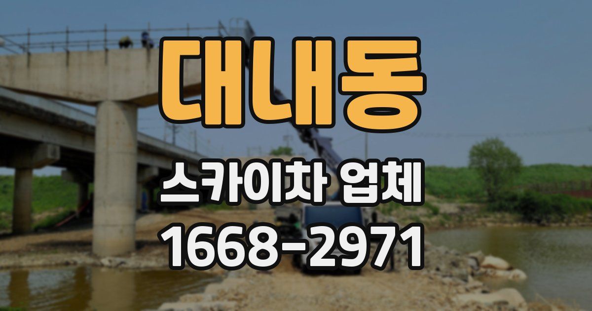 대내동 스카이차 업체