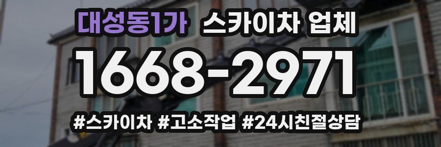 대성동1가 스카이차 업체