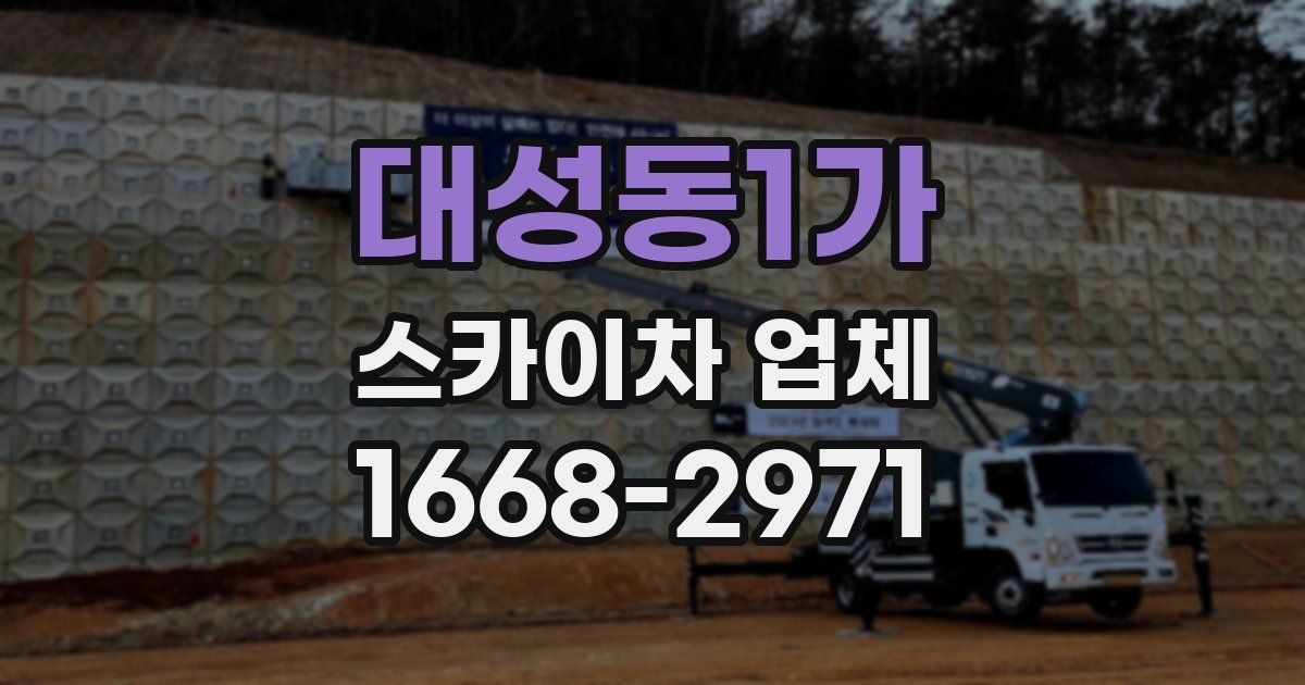 대성동1가 스카이차 업체