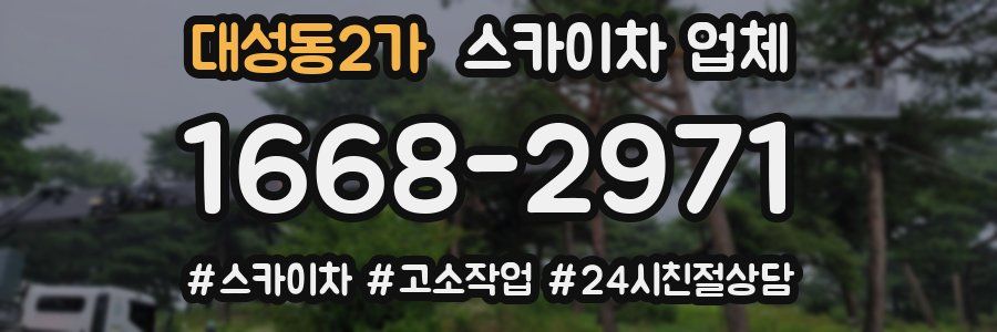 대성동2가 스카이차 업체