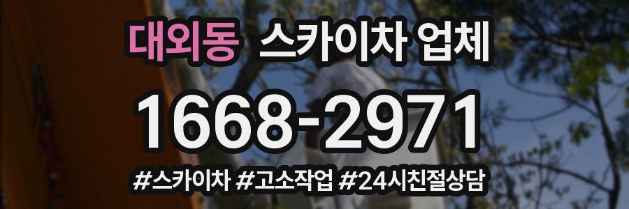 대외동 스카이차 업체