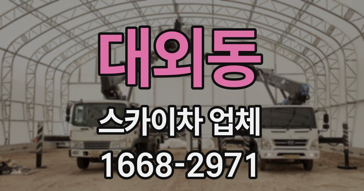 대외동 스카이차 업체