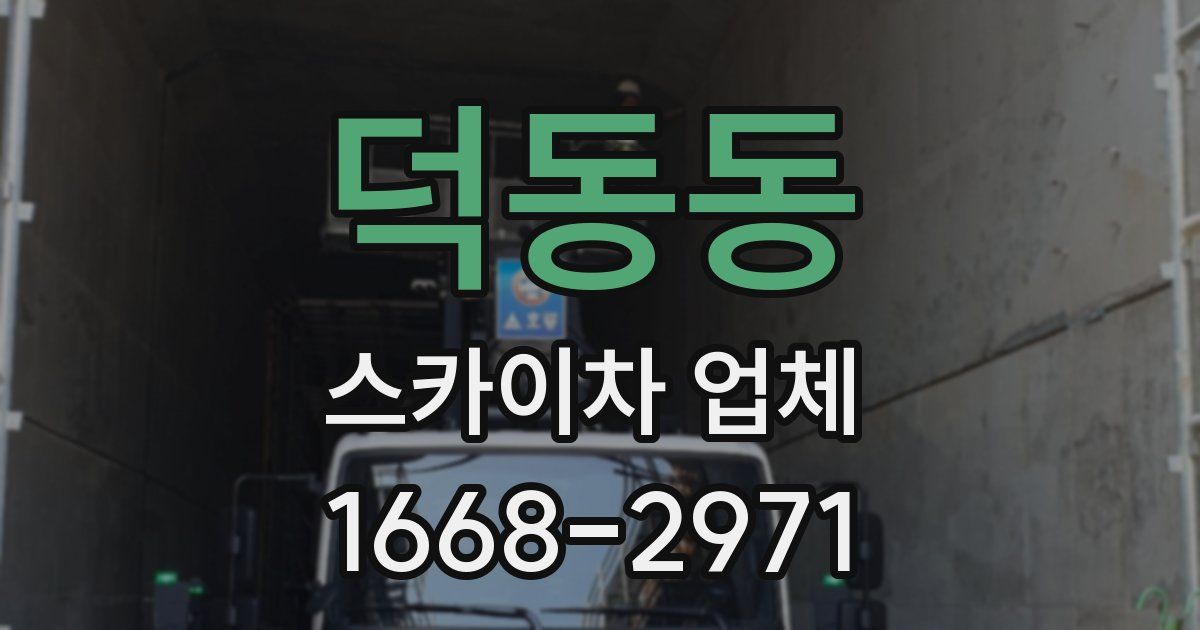 덕동동 스카이차 업체