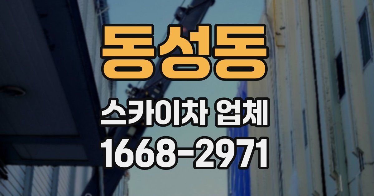 동성동 스카이차 업체