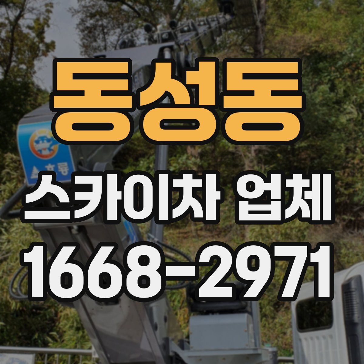 동성동 스카이차 업체
