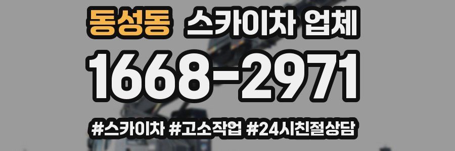 동성동 스카이차 업체