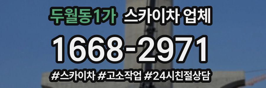 두월동1가 스카이차 업체