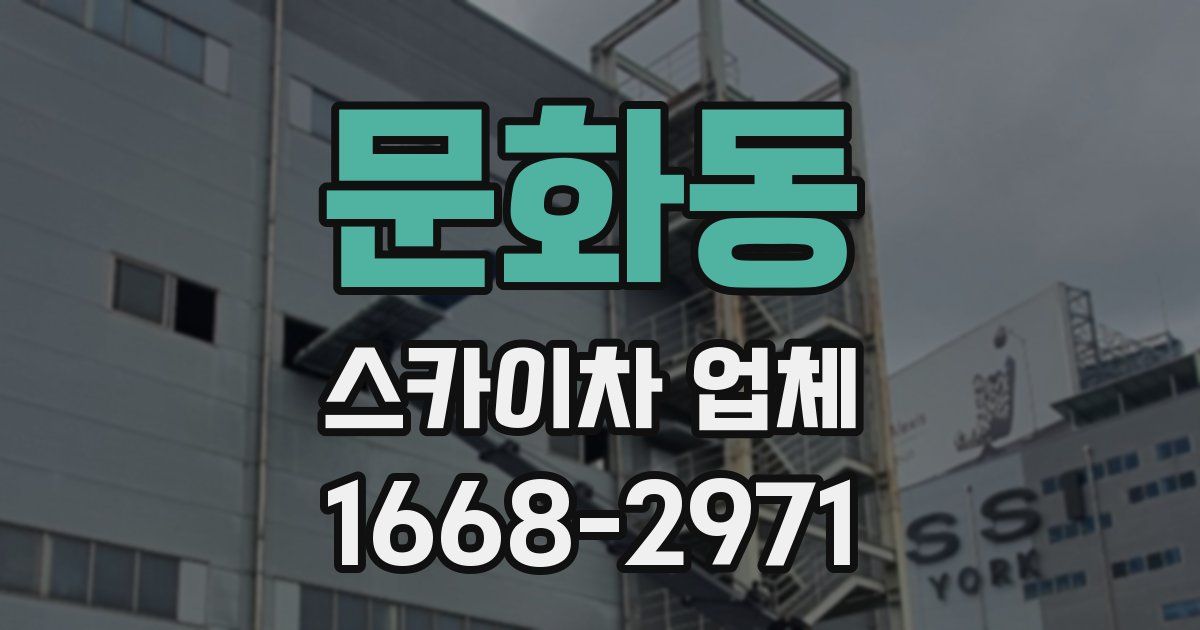 문화동 스카이차 업체