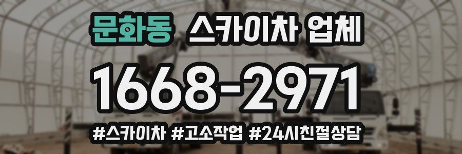 문화동 스카이차 업체