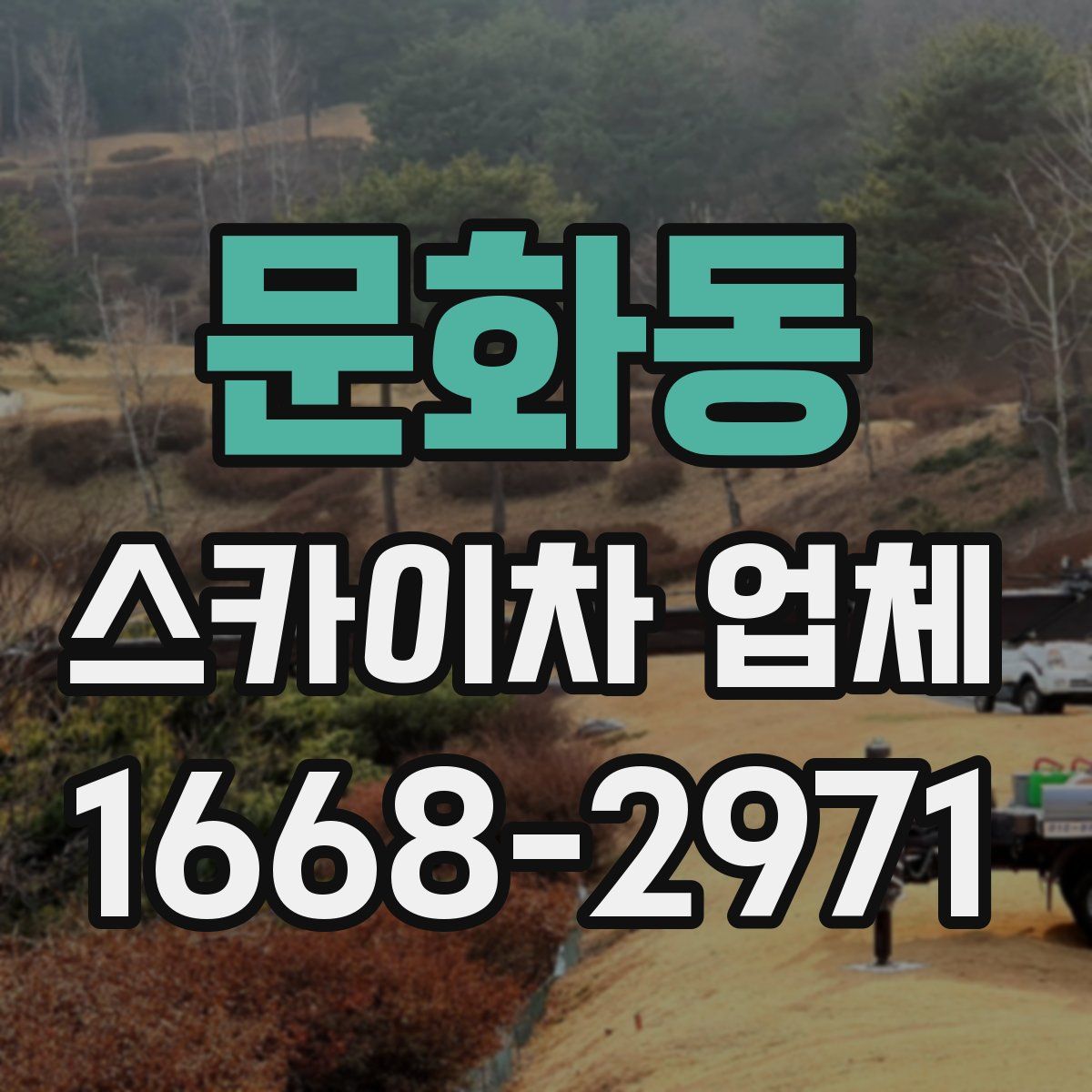 문화동 스카이차 업체
