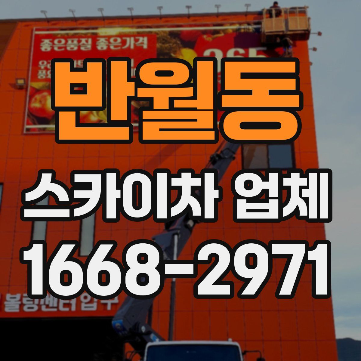 반월동 스카이차 업체