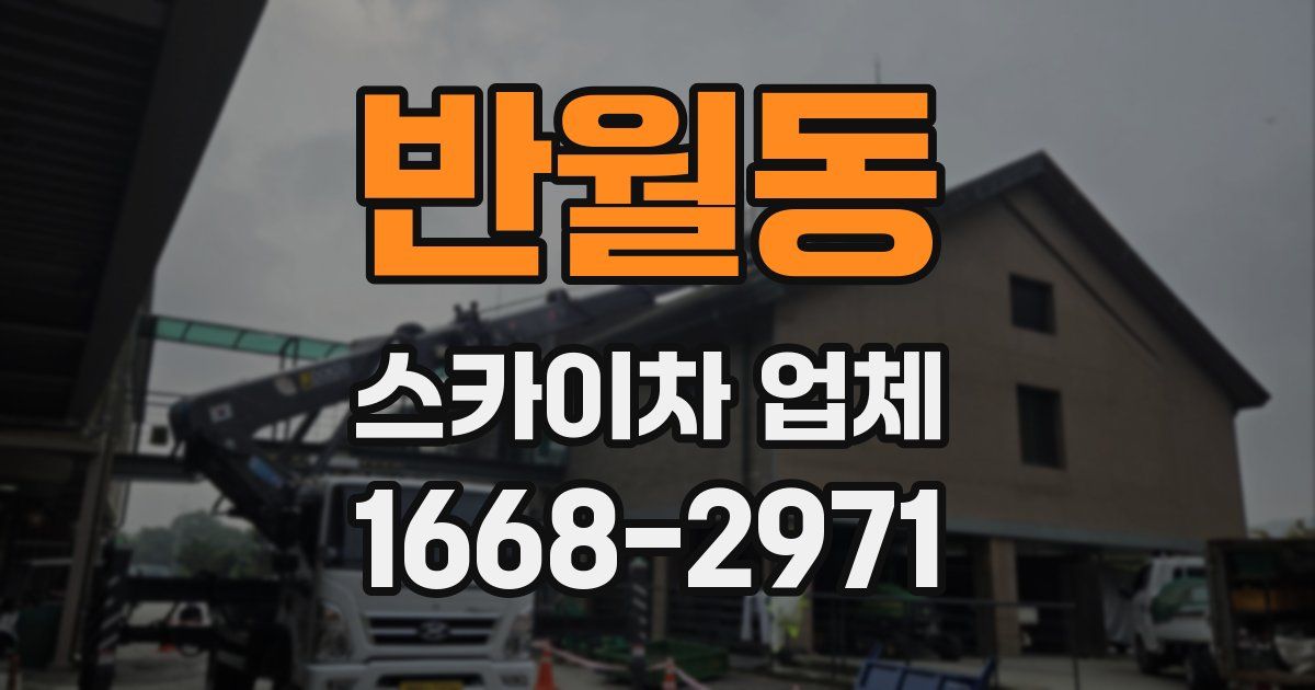 반월동 스카이차 업체