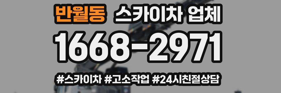 반월동 스카이차 업체